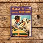 Malattie infettive e parassitarie del bestiame