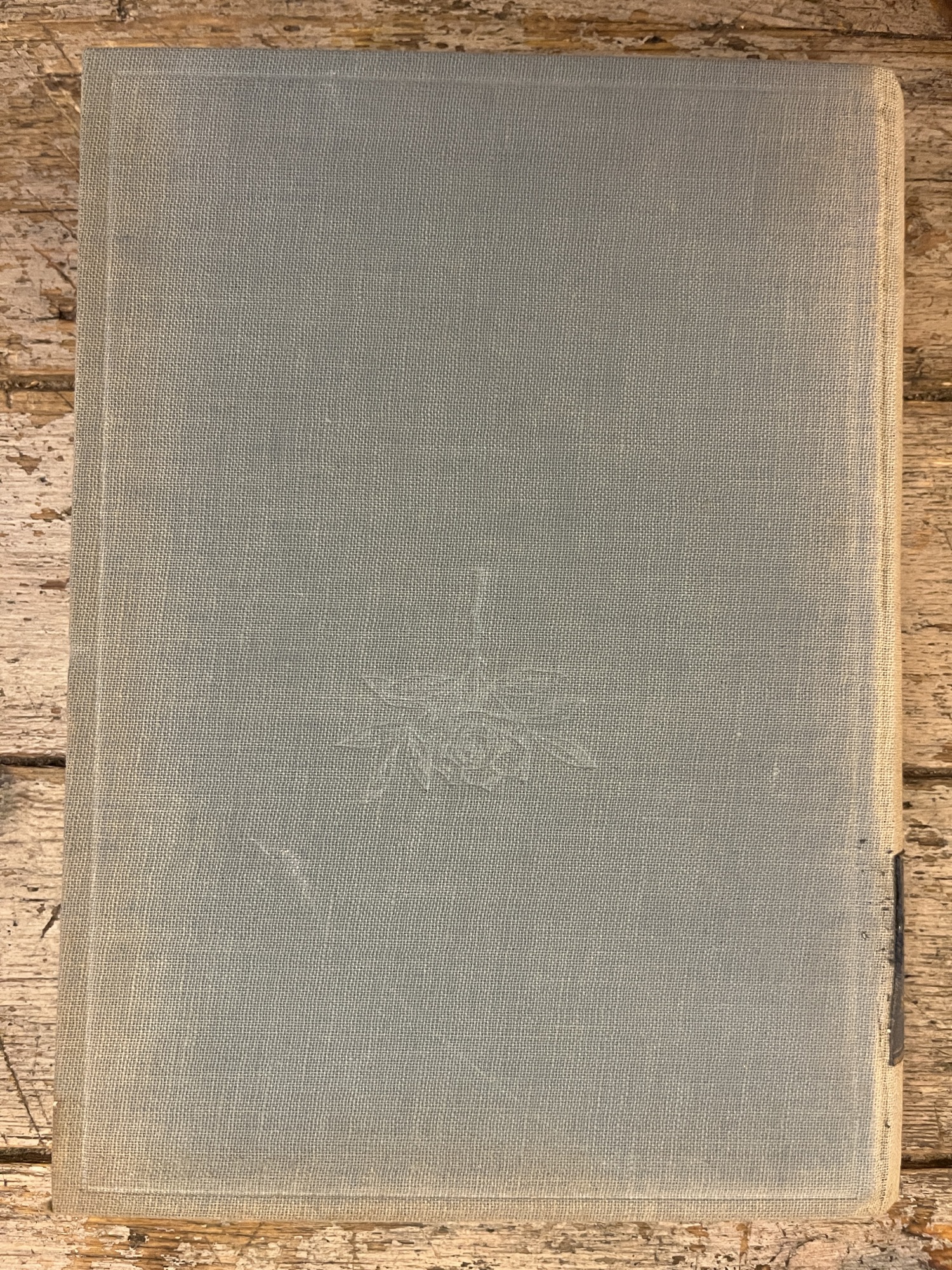 Libreria Catap Macerata