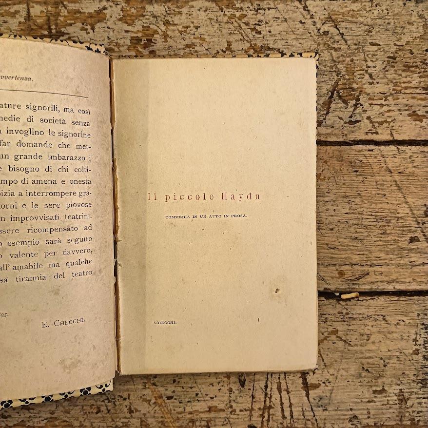 Teatro di società. Il piccolo Haydn. Mozart fanciullo