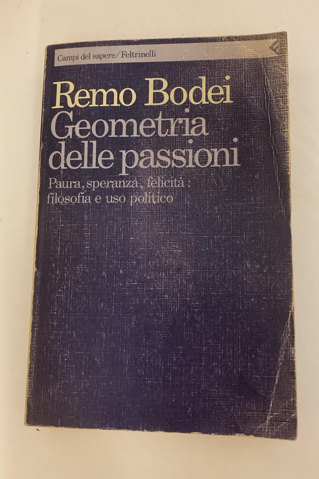 Geometria delle passioni: paura, speranza,felicità: filosofia e uso politico