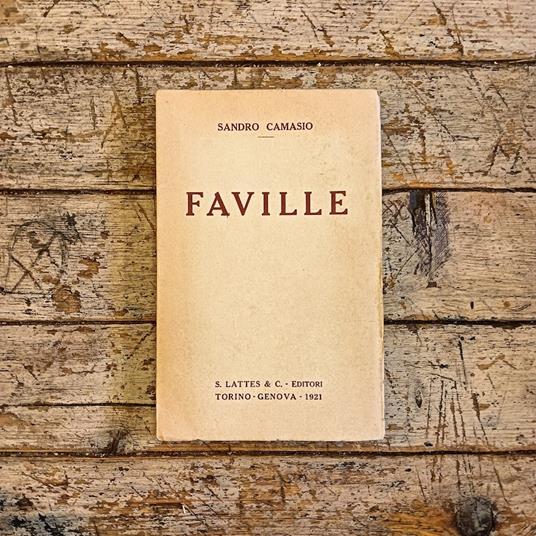 Faville - Sandro Camasio - copertina