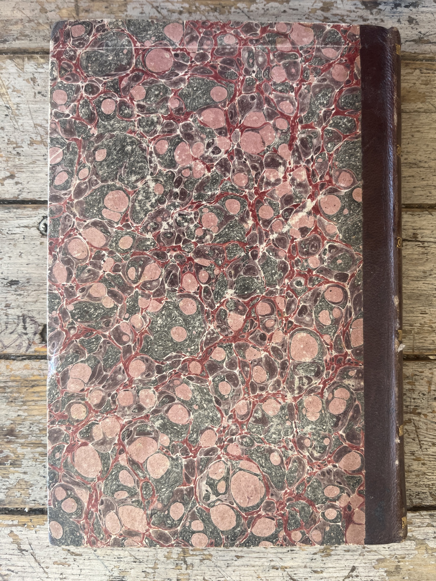 Libreria Catap Macerata