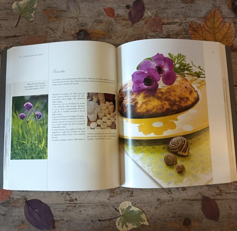 Ricette, ricordi, racconti, La cucina tradizionale del territorio Maceratese