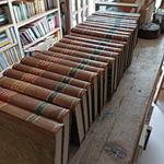 Giornale di farmacia, di chimica e di scienze affini ( collezione da 23 tomi)
