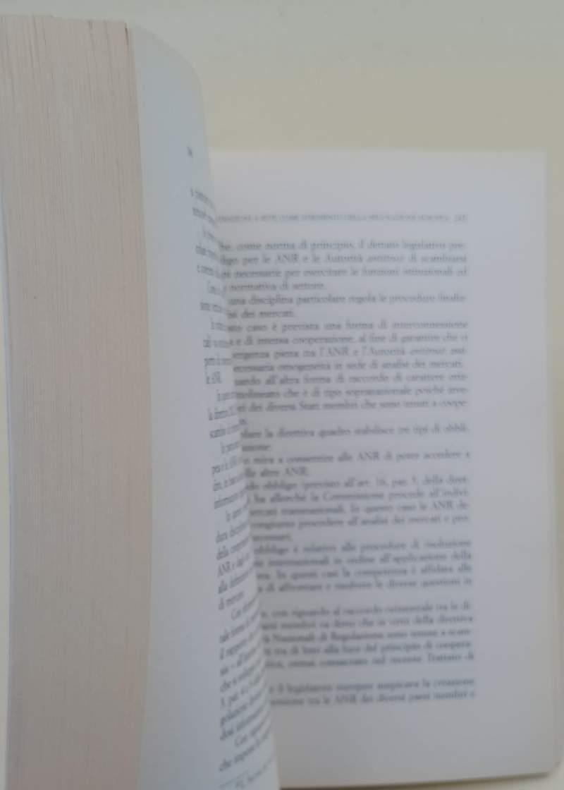 Il Modello Europeo Di Regolazione- Atti Della Giornata Di Studio In Memoria Di Salvatore Cattaneo(2011)