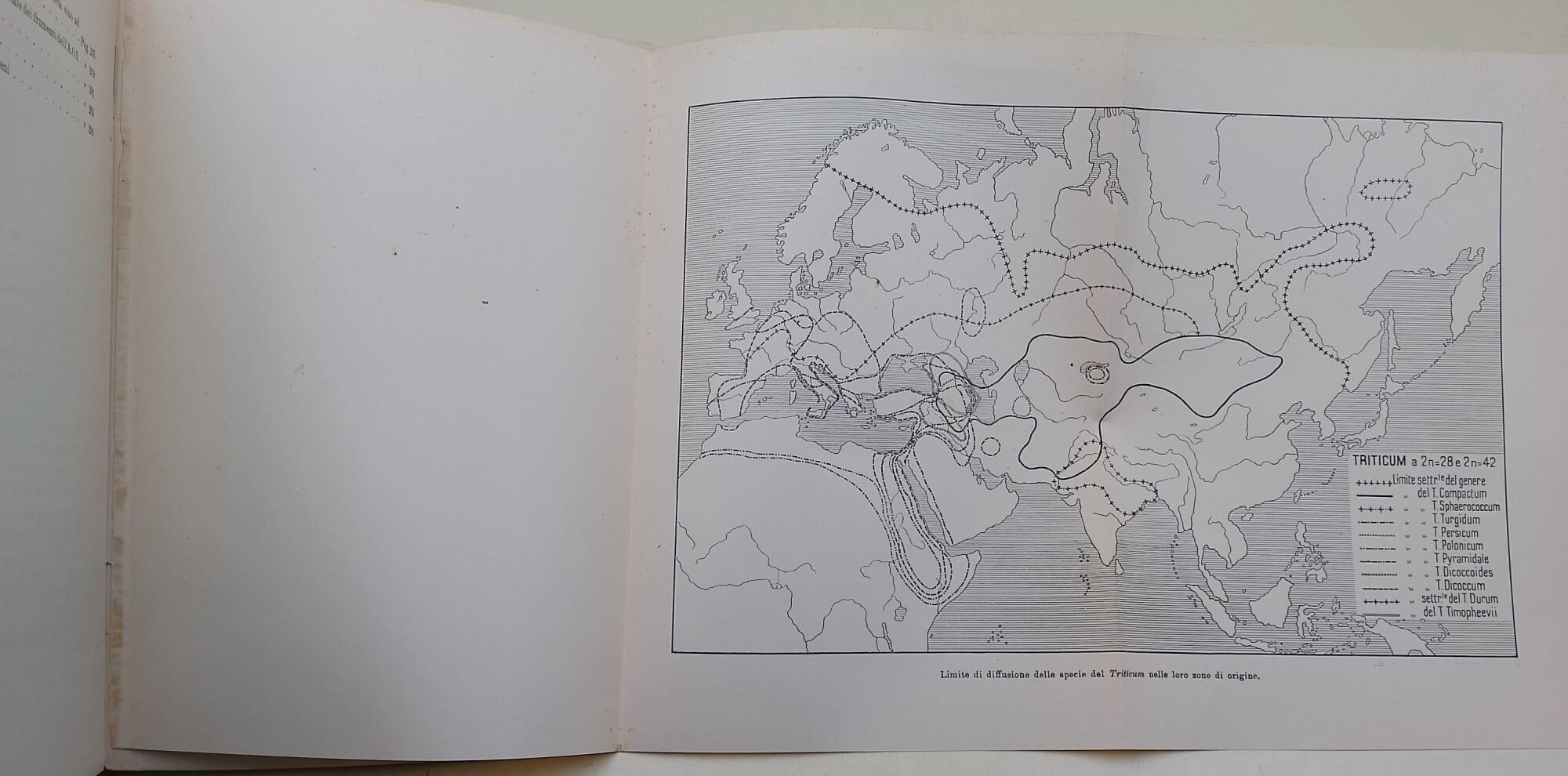 I cereali dell'Africa Italiana-I- I frumenti dell'Africa Orientale Italiana studiati su materiali originali