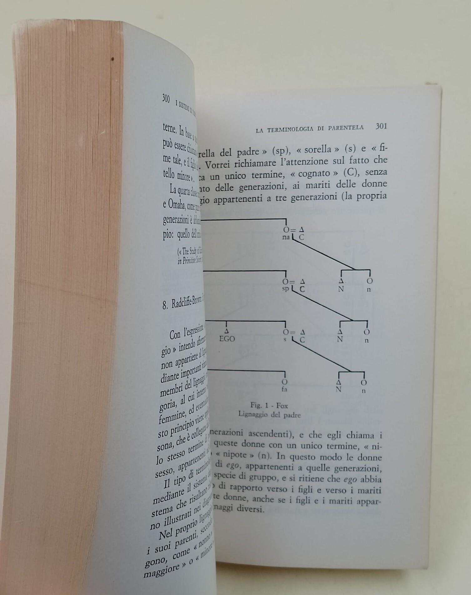 I sistemi di parentela