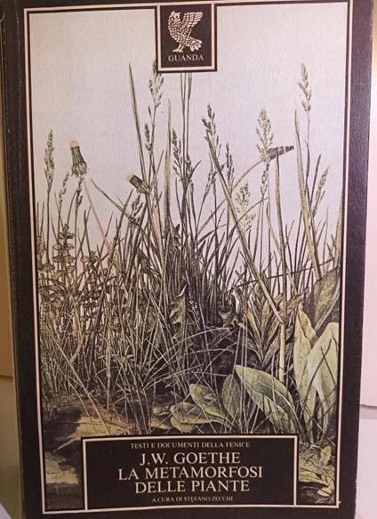 metamrfosi delle piante - J.W. Goethe - copertina
