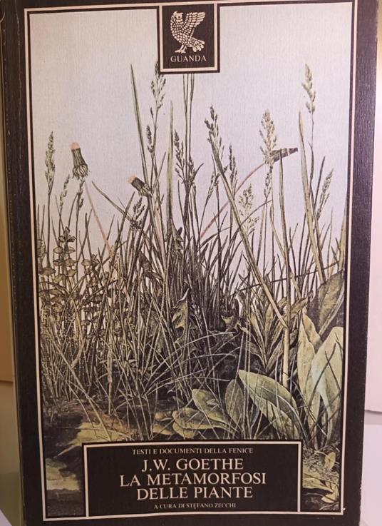 metamrfosi delle piante - J.W. Goethe - copertina