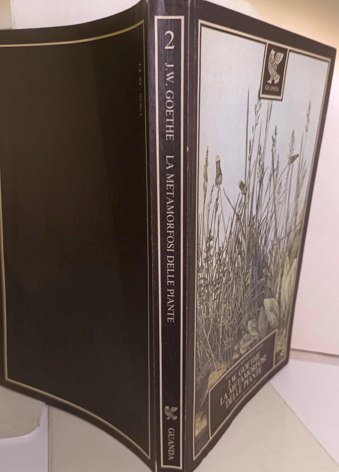 metamrfosi delle piante