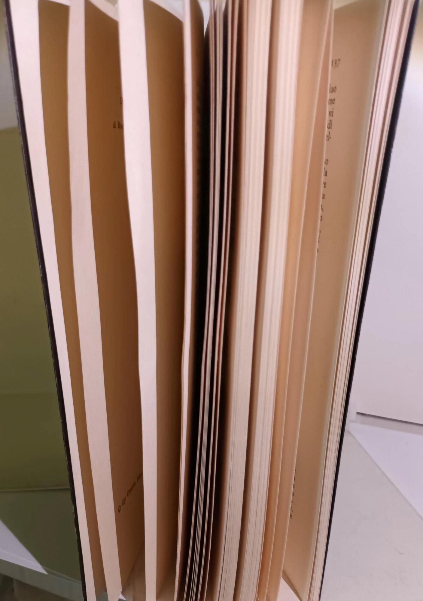 metamrfosi delle piante