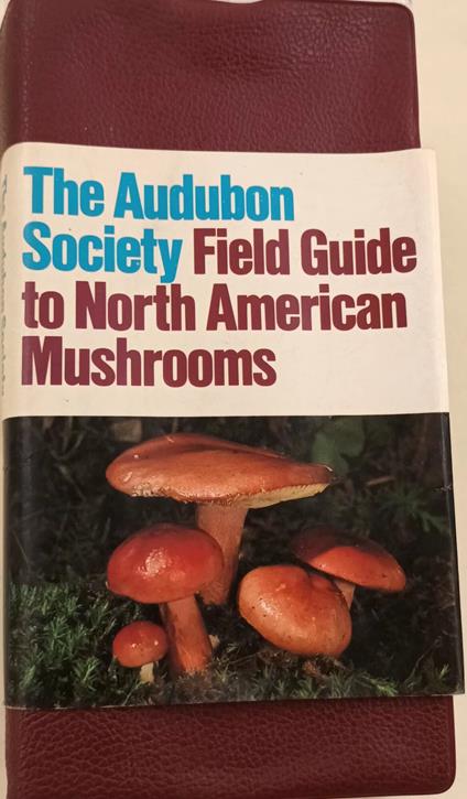 The Audubon Society-Field guide to American mushrooms - copertina