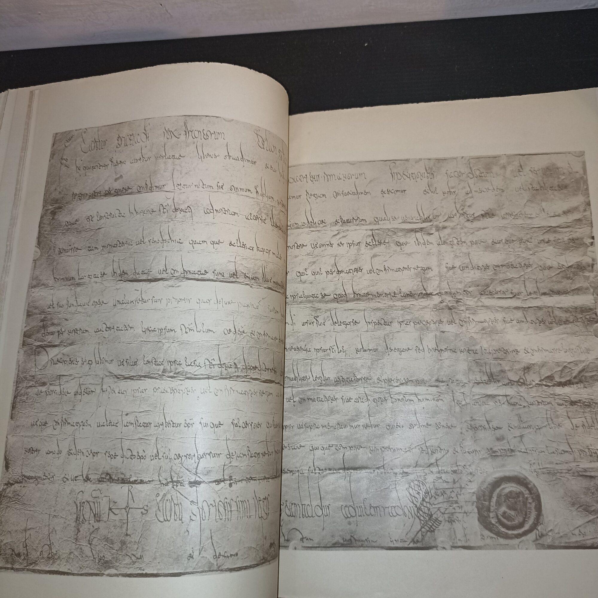 Documenti per la storia della città di Arezzo-2 voll