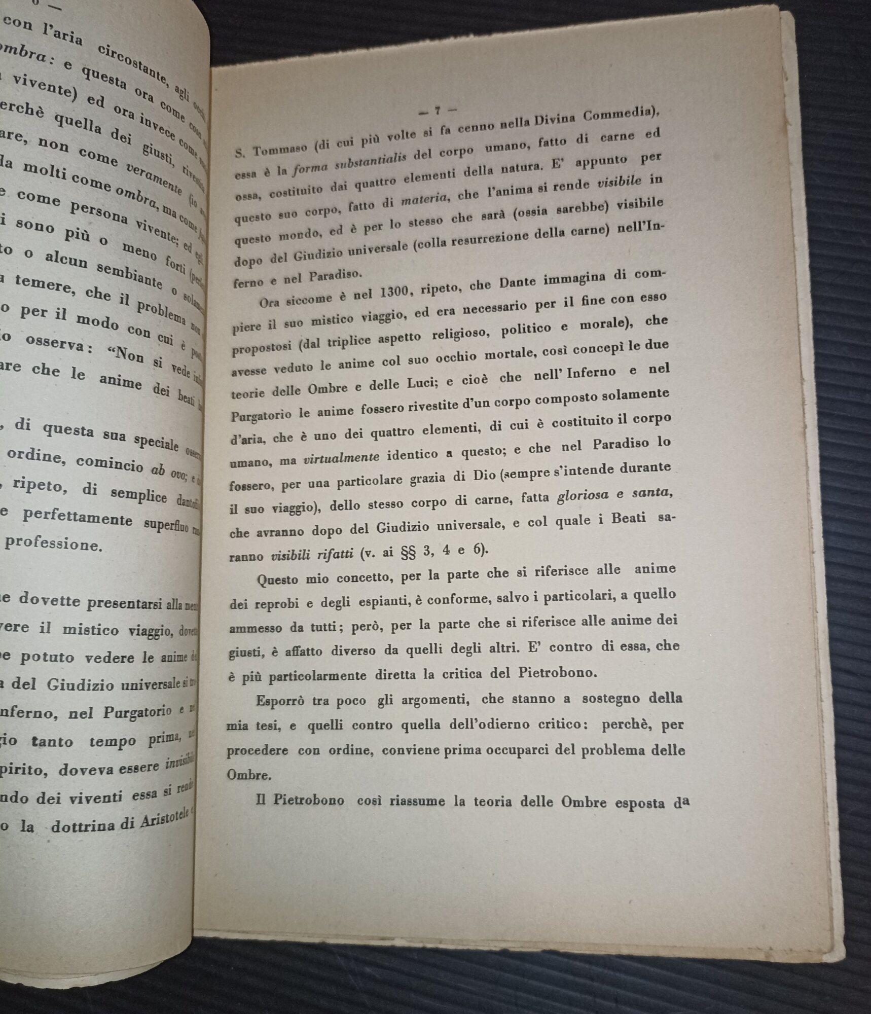 Il problema delle ombre e delle luci nella Divina Commedia-nota polemica