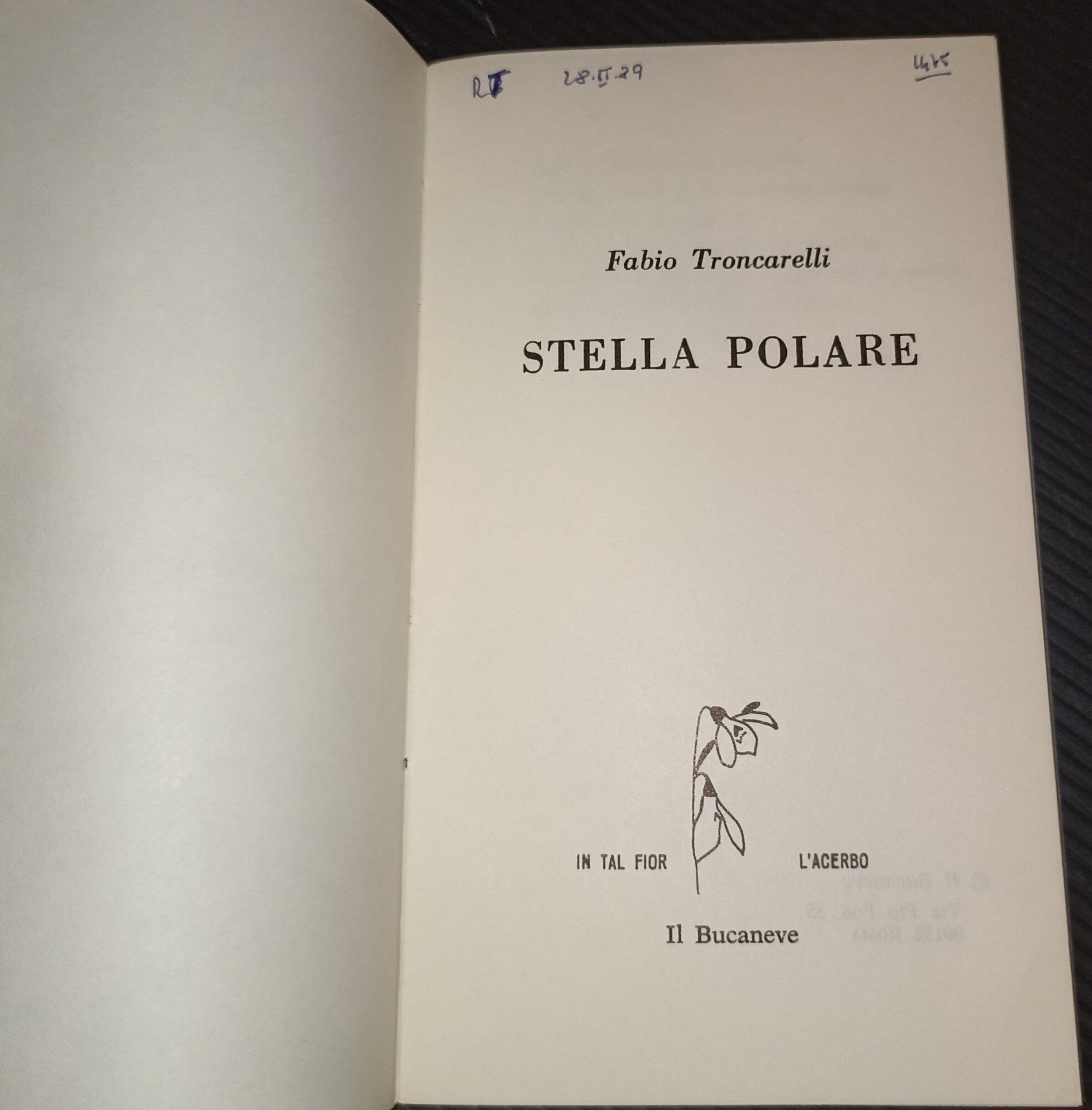 Stella polare