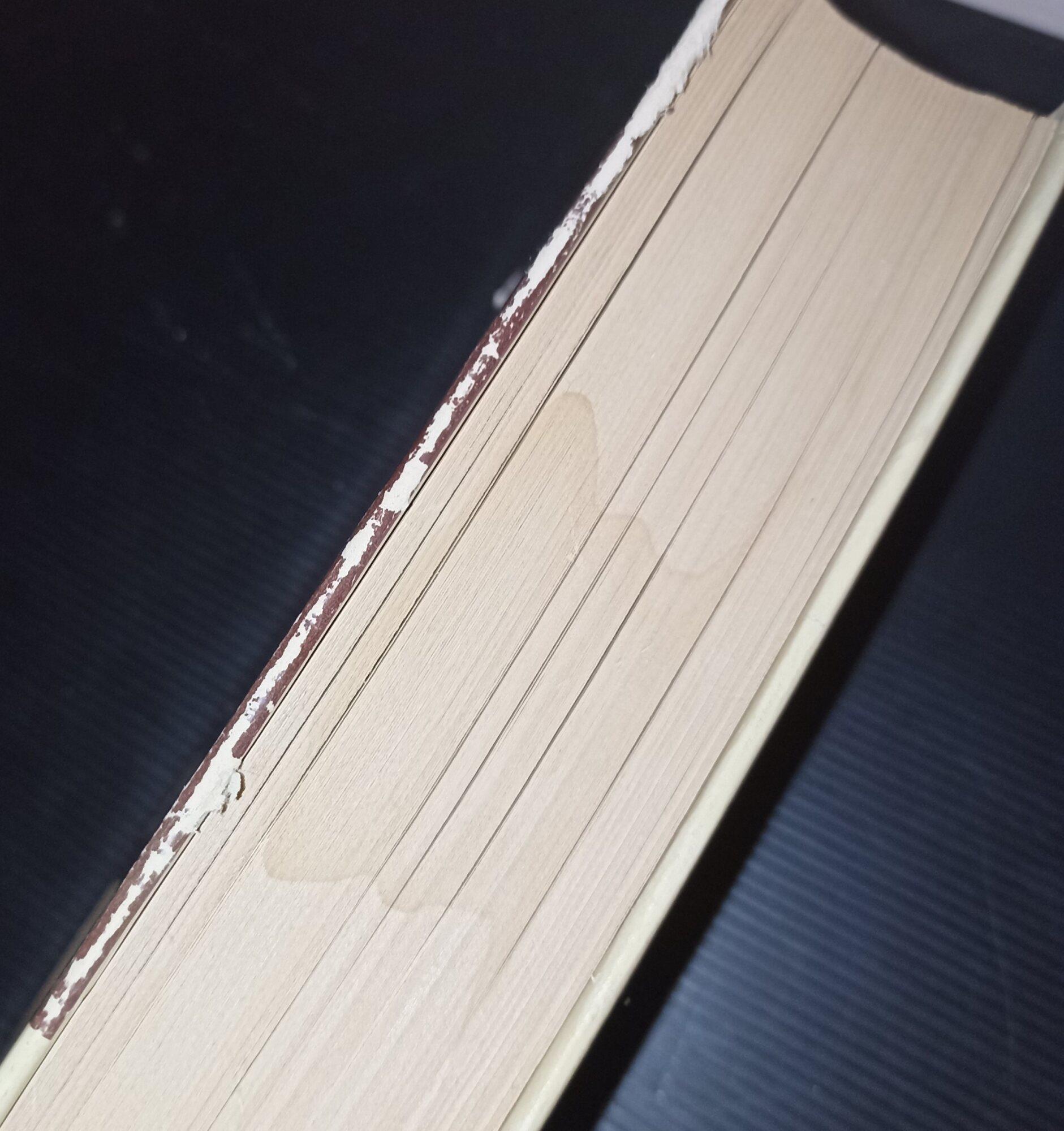 La filosofia del Novecento