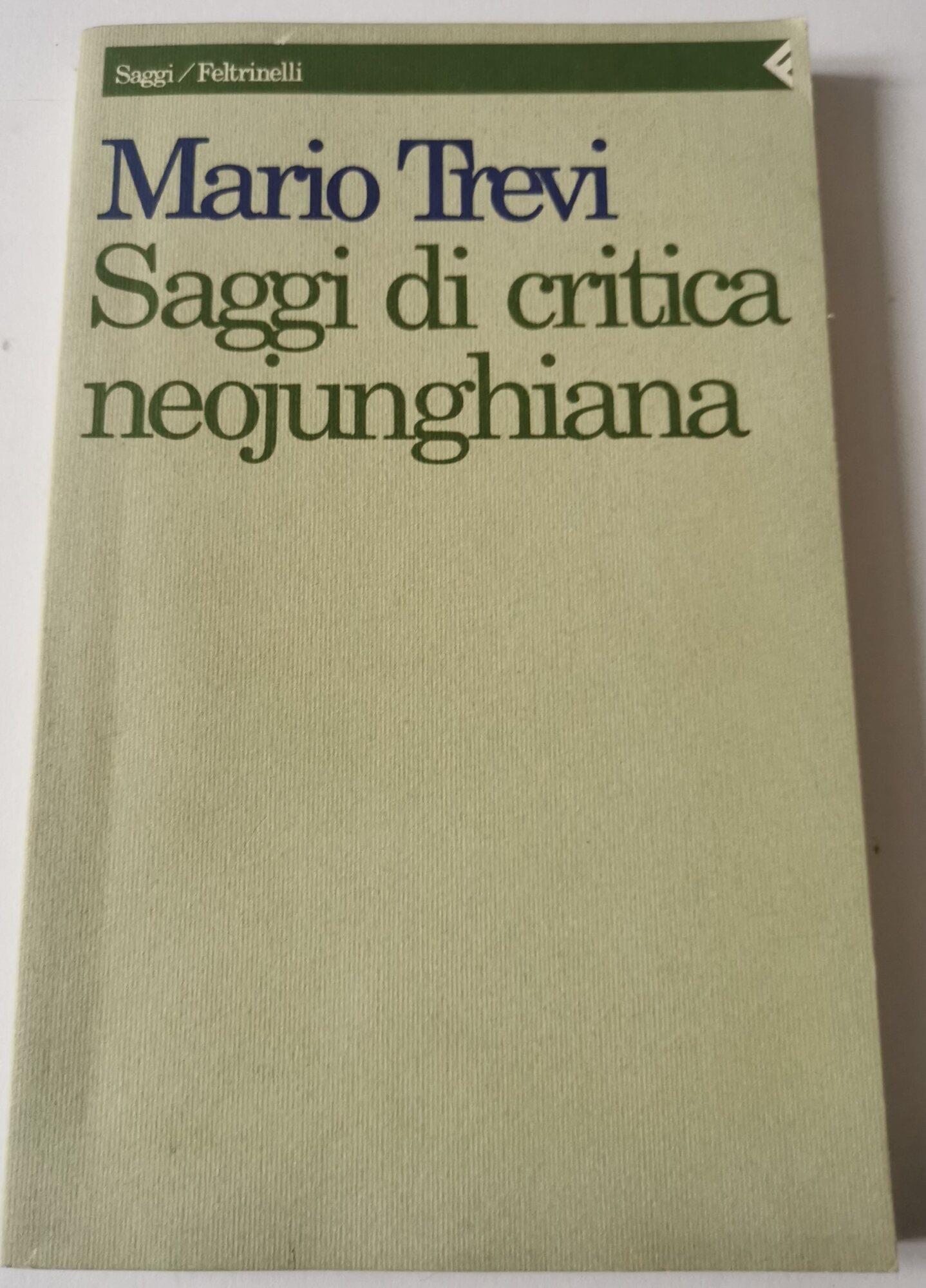 Saggi di critica neojunghiana