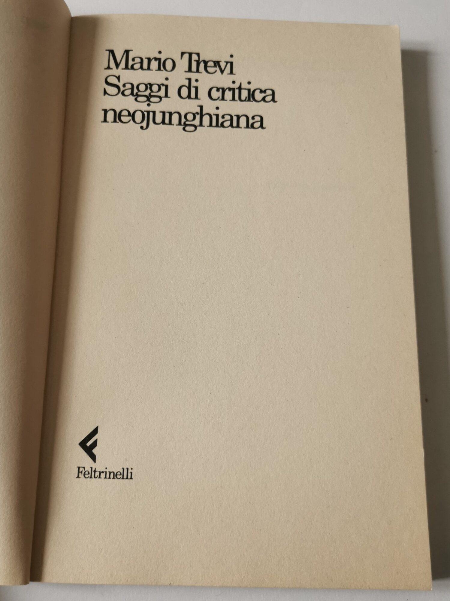 Saggi di critica neojunghiana