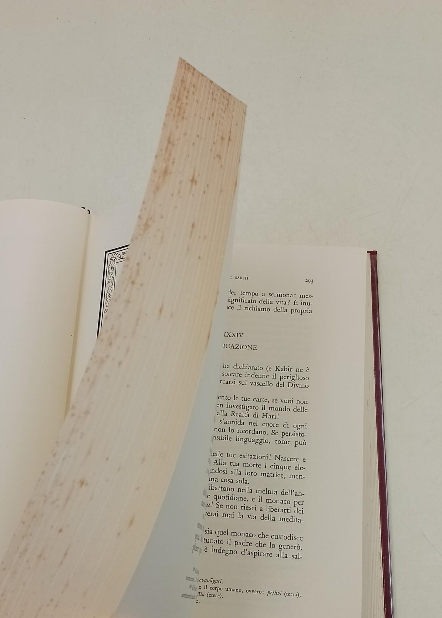 Mistici indiani medievali