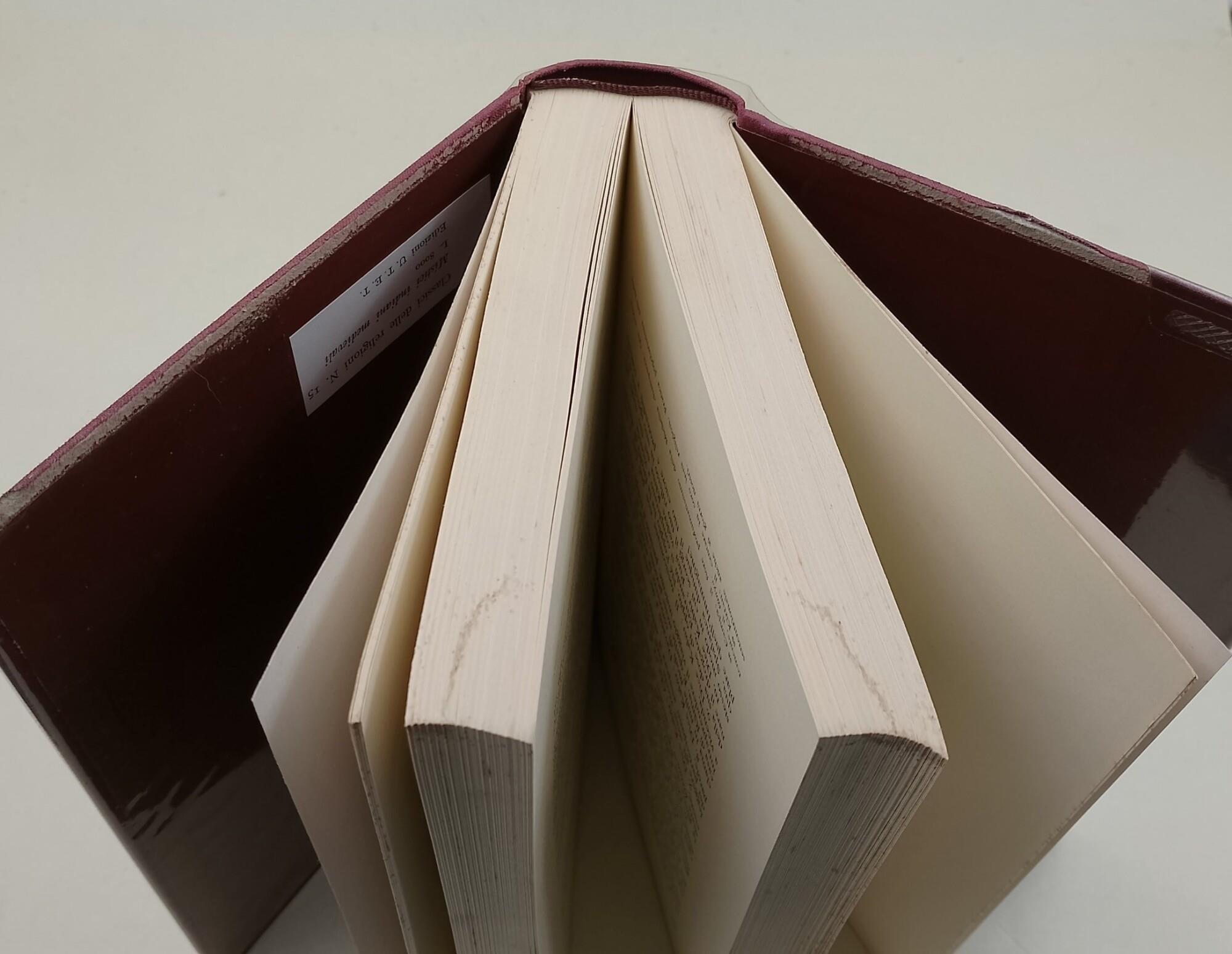 Mistici indiani medievali