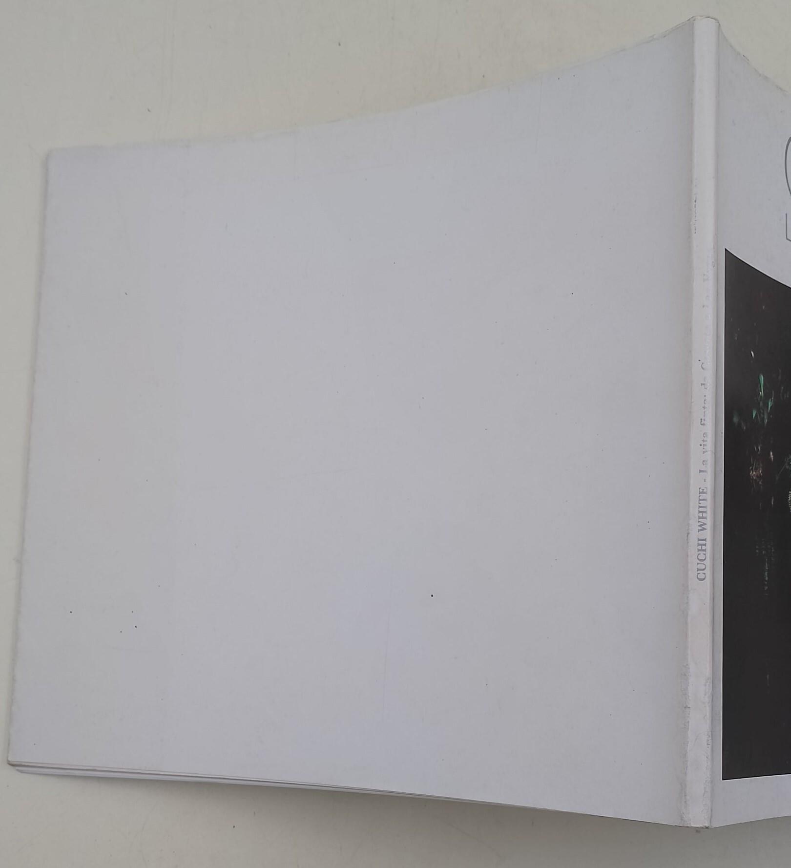 La vita finta: da Caserta a Las Vegas