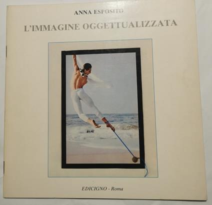 L' Immaginazione concettualizzata - Anna Esposito - copertina