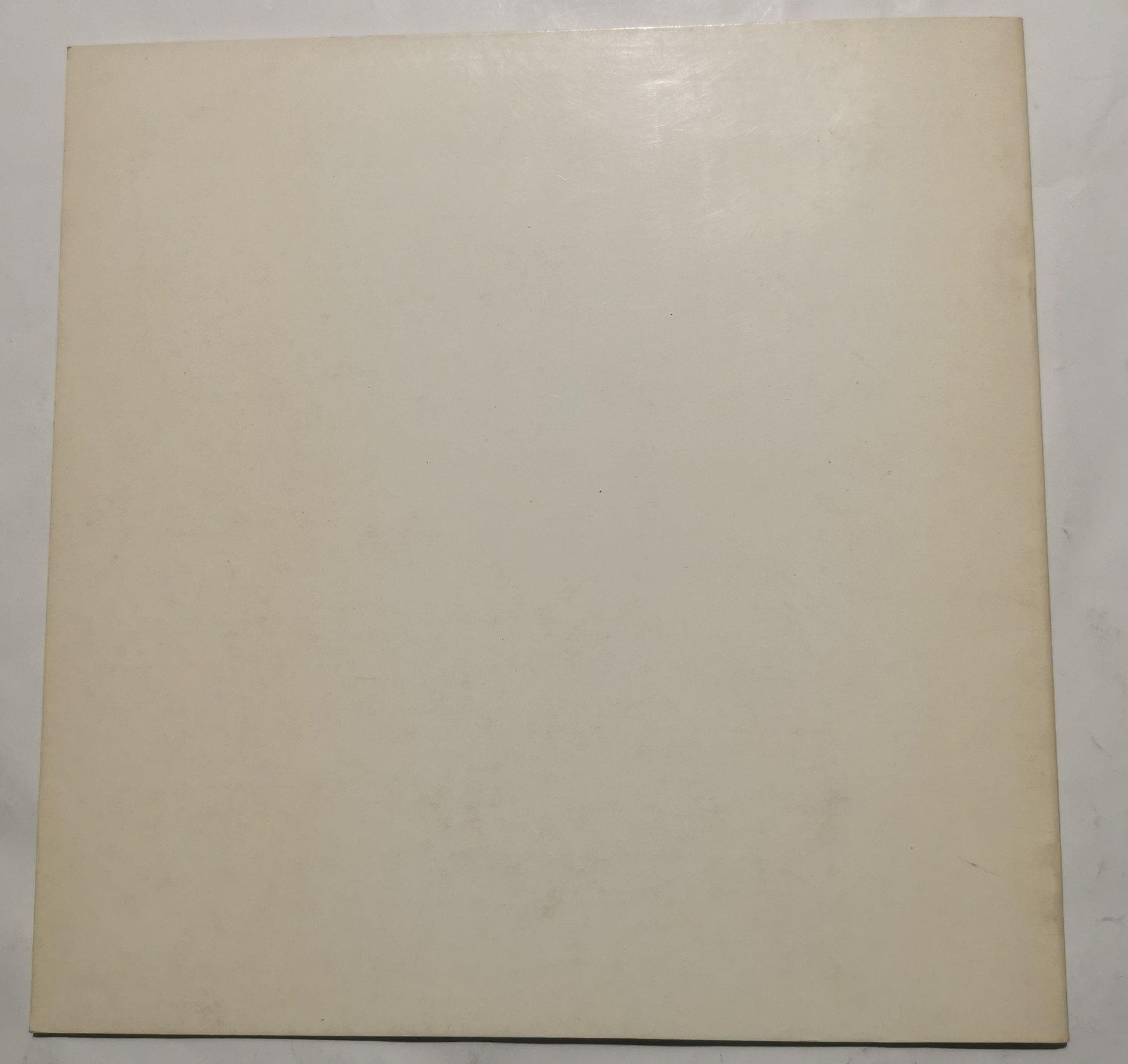 L' Immaginazione concettualizzata