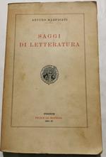 Saggi di letteratura