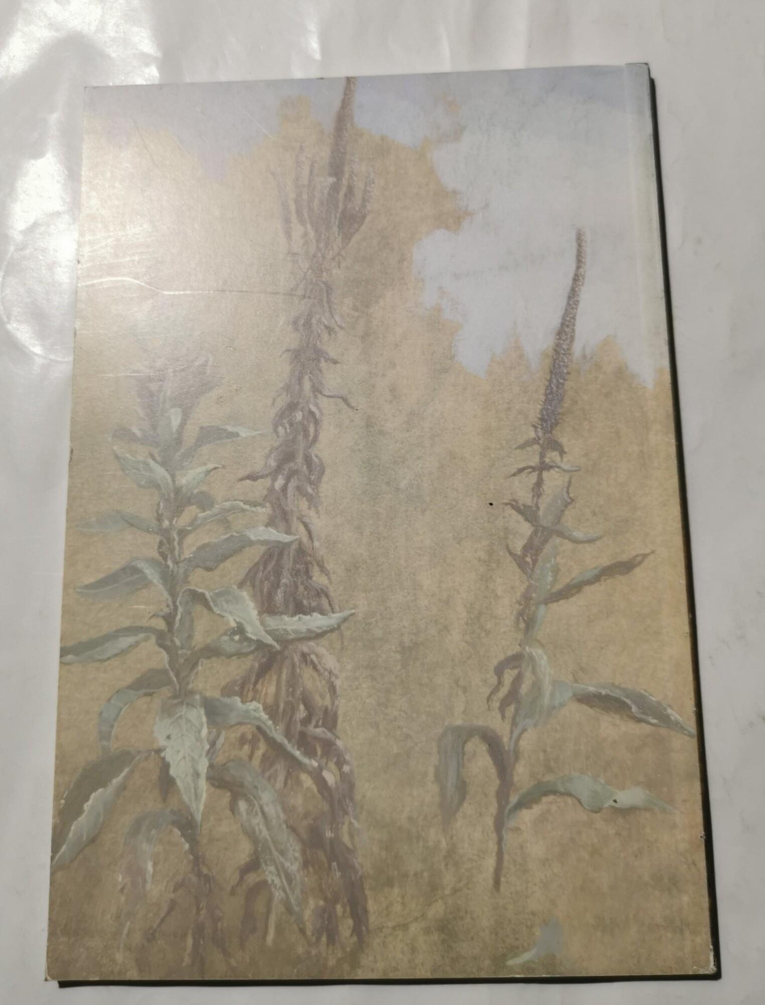 Alla ricerca del Tassobarbasso