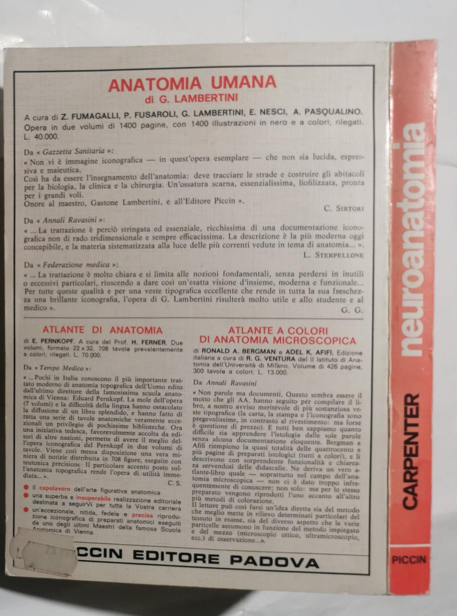 Neuroanatomia