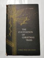 The coltivation of Christmas trees
