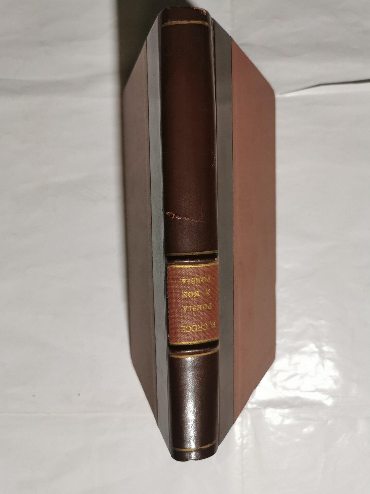 Poesia e non poesia - note sulla letteratura europea del secolo decimonono