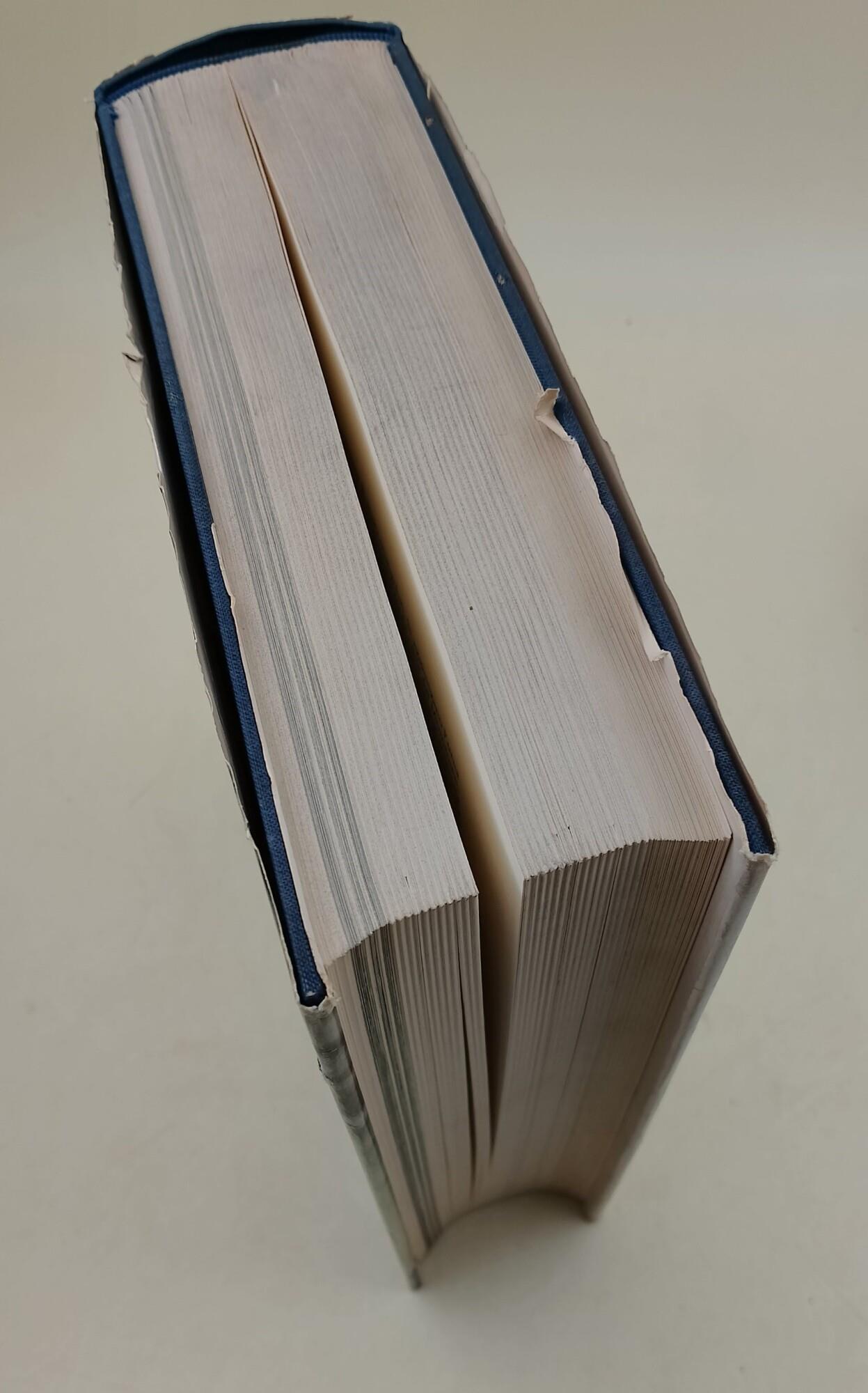 Il Romanico-Catalogo dei Monumenti nella Repubblica e Cantone del Ticino