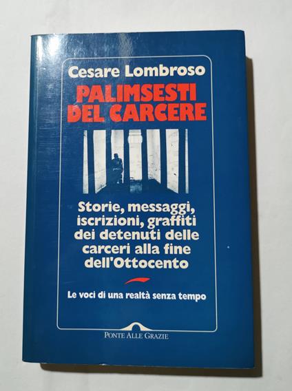 Palinsesti del carcere - Storie, messaggi, iscrizioni, graffiti del detenuti delle carceri alla fine dell'Ottocento - Cesare Lombroso - copertina