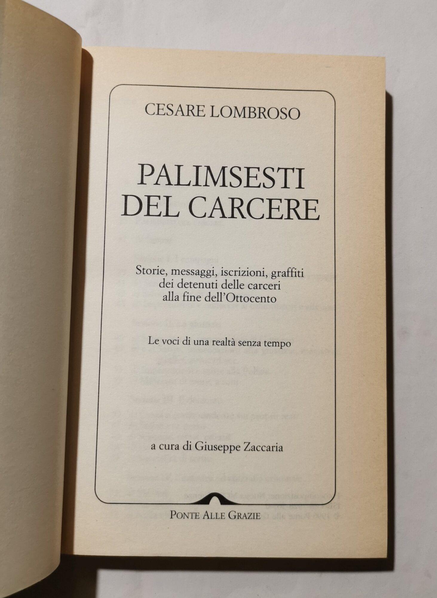 Palinsesti del carcere - Storie, messaggi, iscrizioni, graffiti del detenuti delle carceri alla fine dell'Ottocento