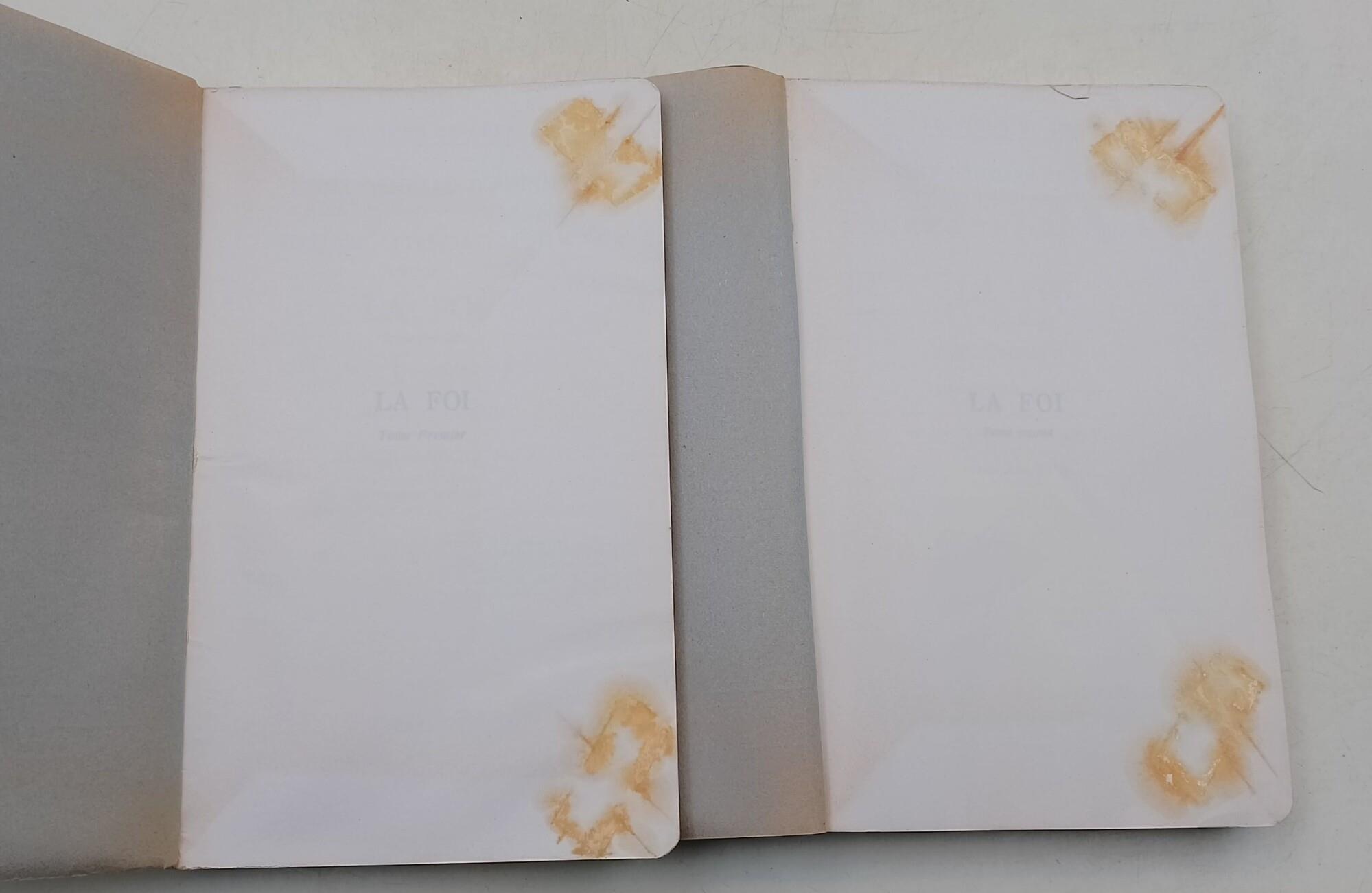 Somme Theologique- La foi- 2 voll