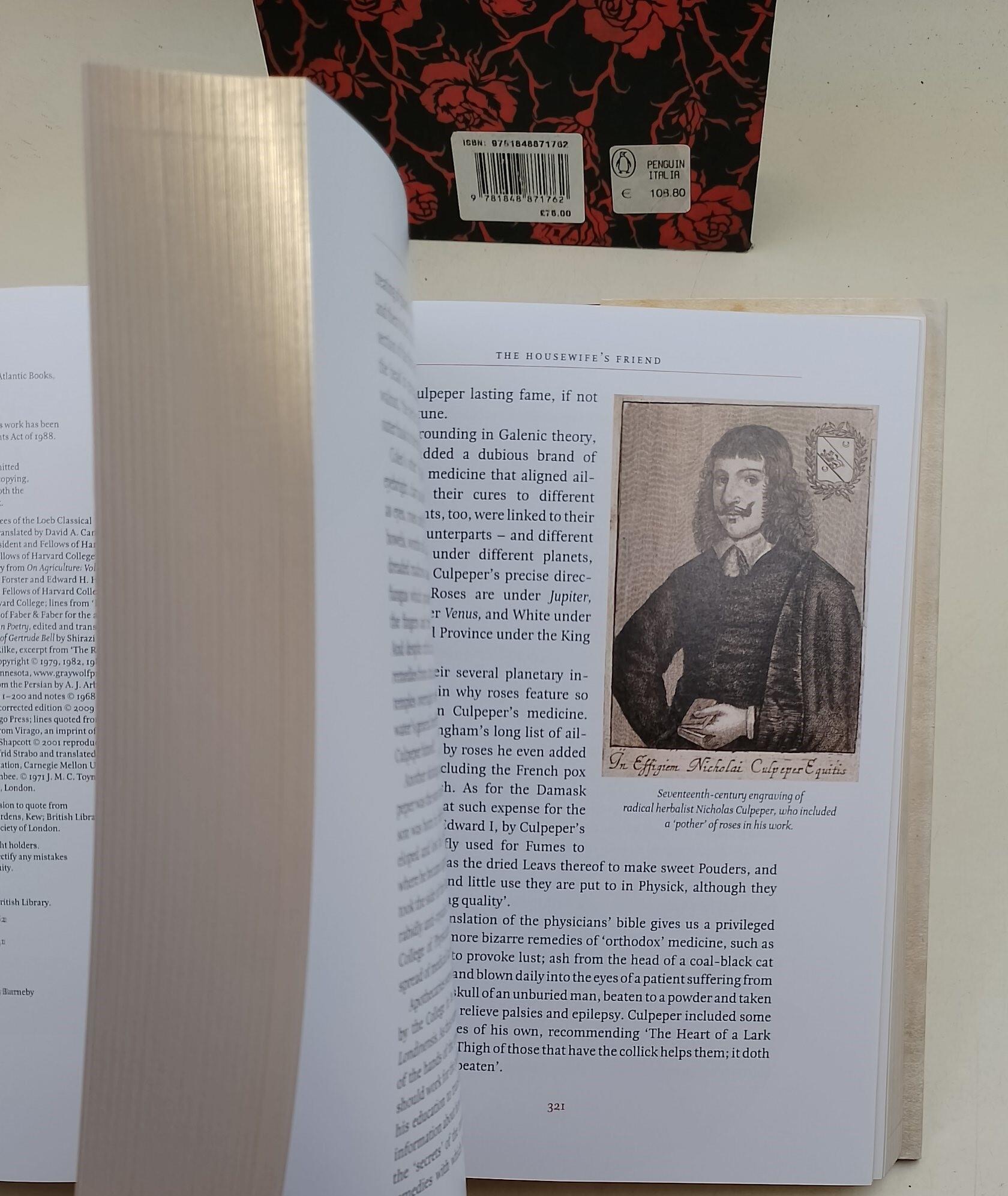 The rose- a true story(limited edition)