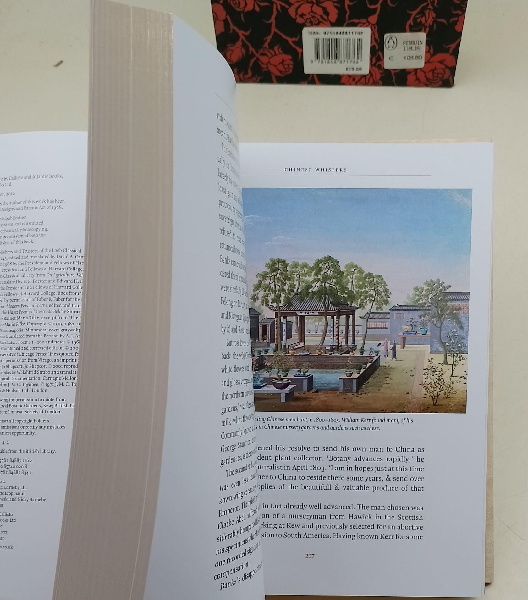 The rose- a true story(limited edition)