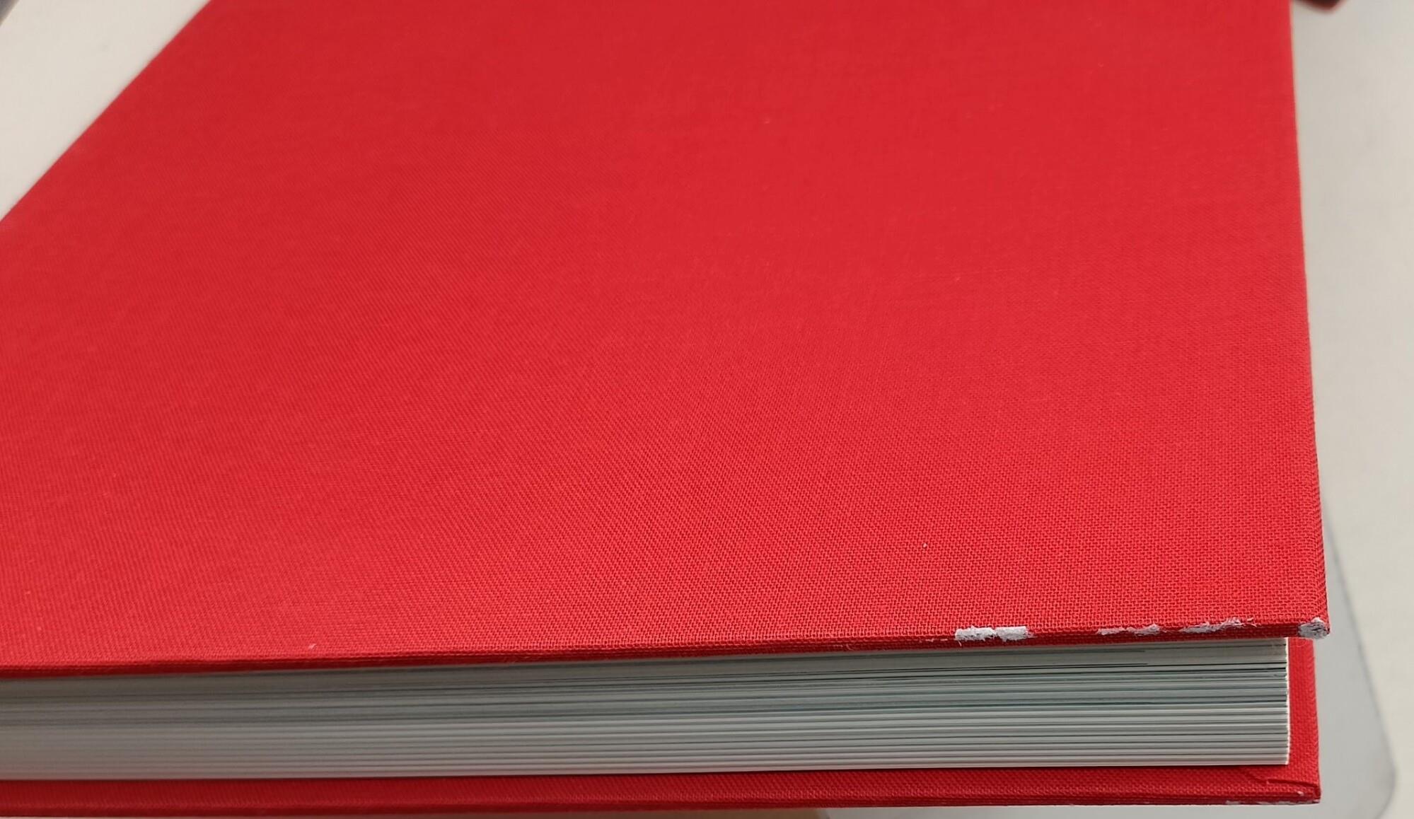 Simone Cantarini Il Pesarese