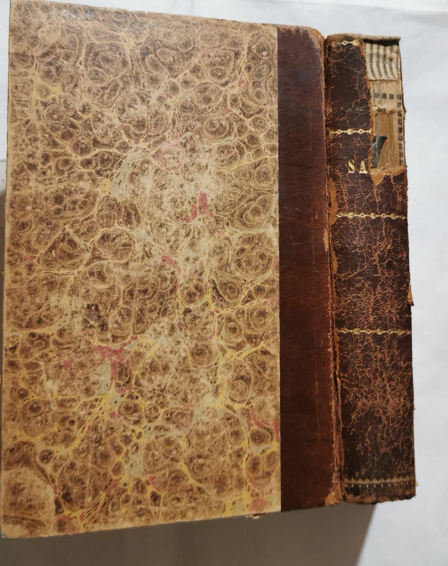 I Salmi - tradotti dal testo originale