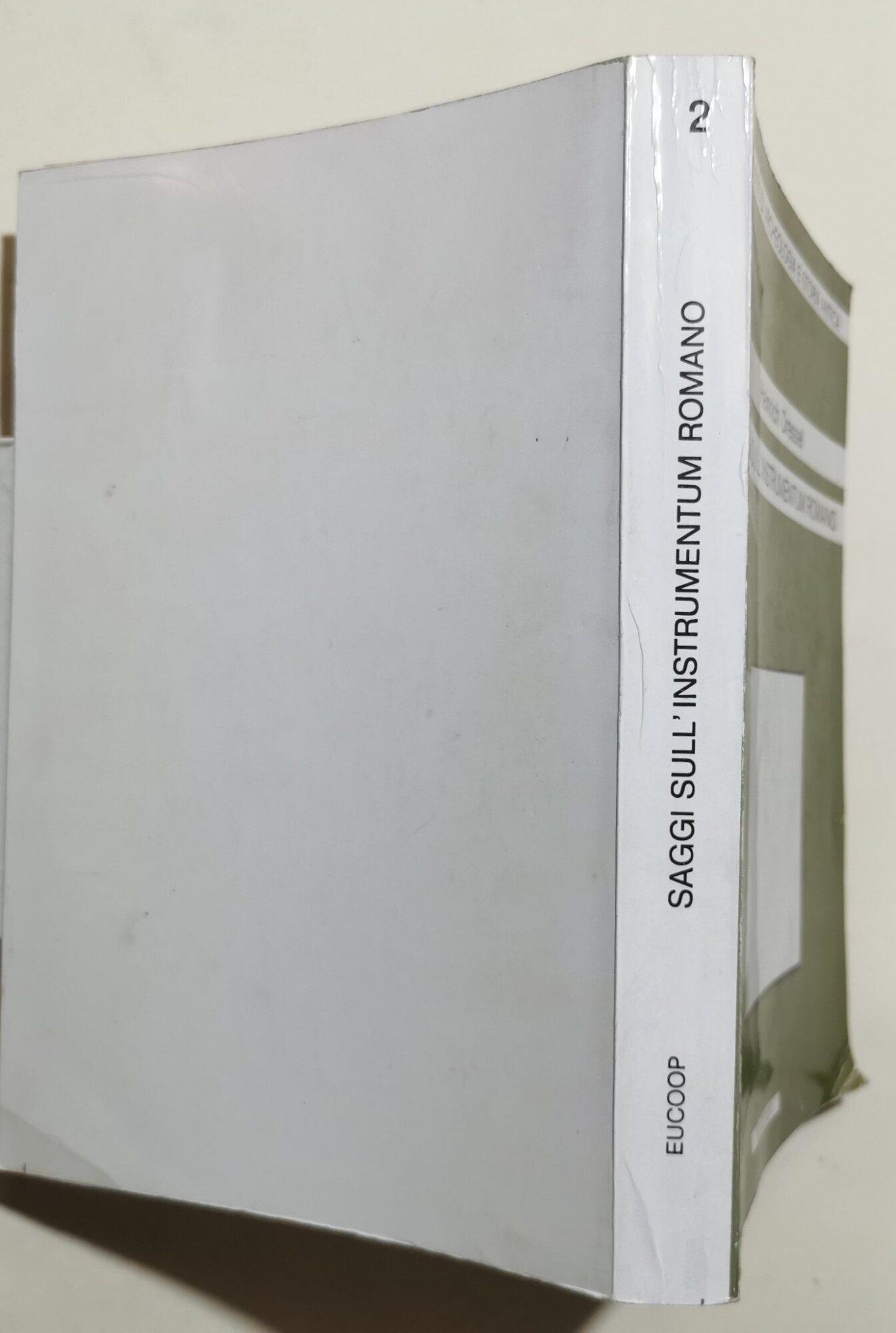 Saggi sull'istrumentum romano