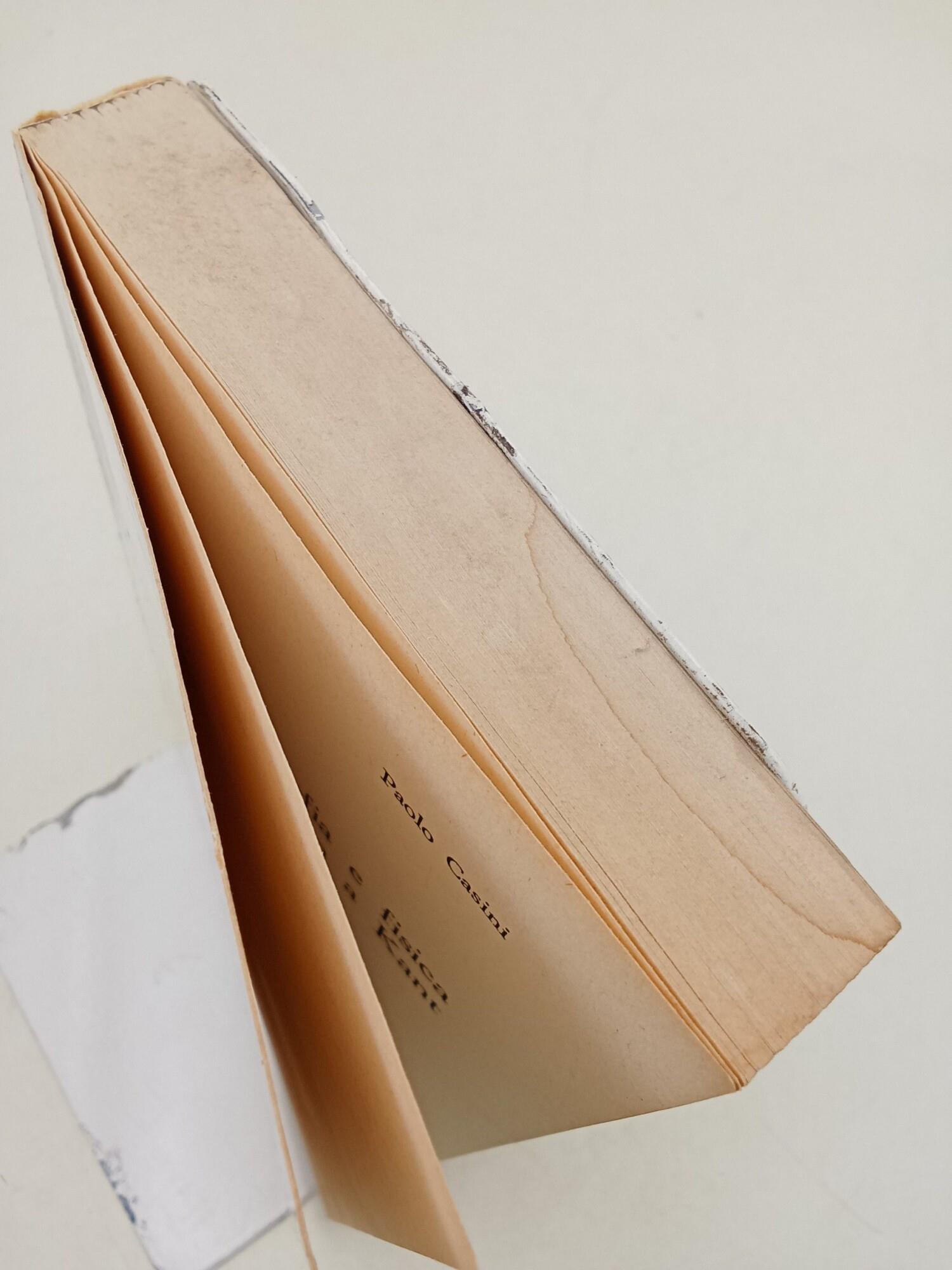 Filosofia e fisica da Newton a Kant