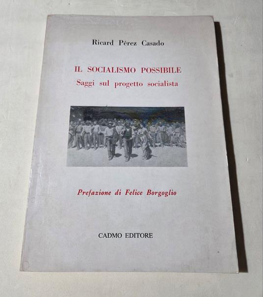 Il socialismo possibile - Saggi sul progetto socialista - copertina