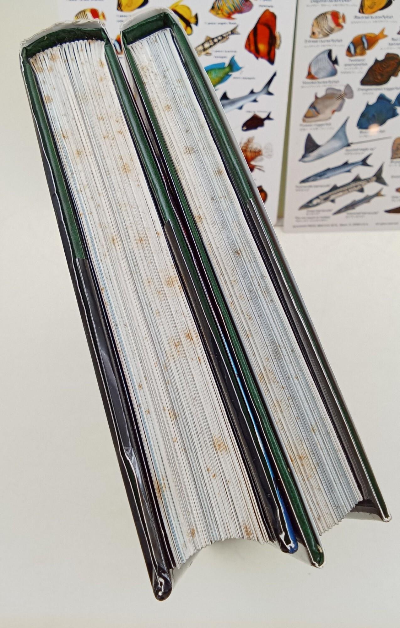 Il Mar Rosso in egitto- 2 voll. Parte prima - I Pesci- Parte seconda- Gli Invertebrati