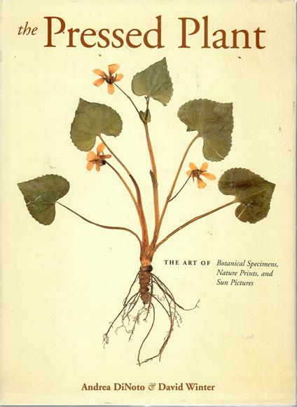 The Pressed plant. The Art of Botanical Specimens , Nature Prints and Sun Pictures - Andrea Di Noto - copertina