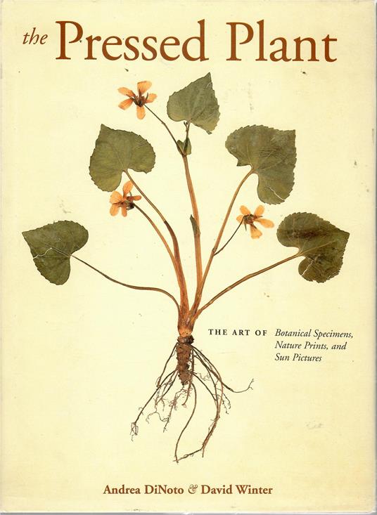 The Pressed plant. The Art of Botanical Specimens , Nature Prints and Sun Pictures - Andrea Di Noto - copertina