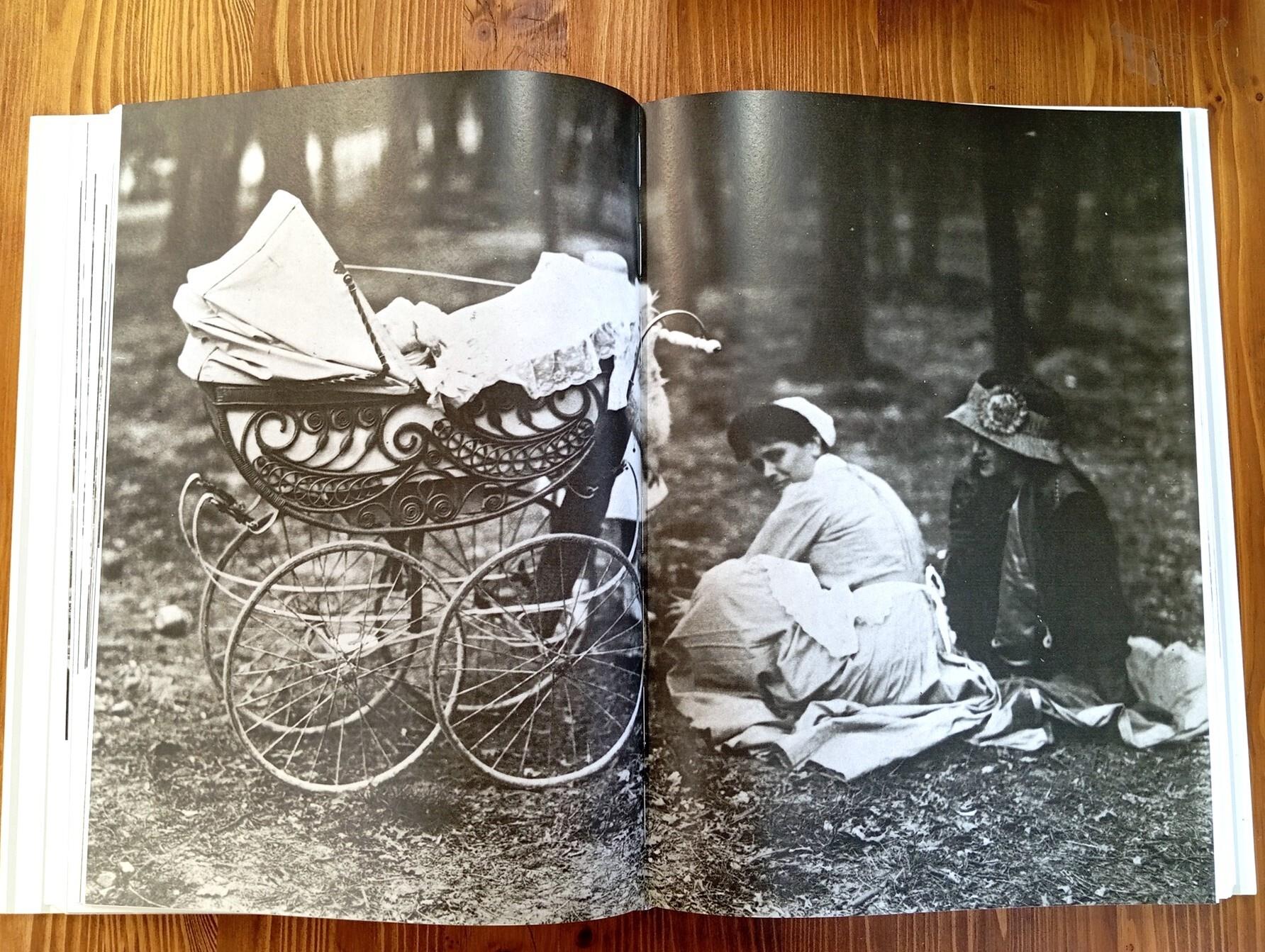 Le livre de Paris 1900