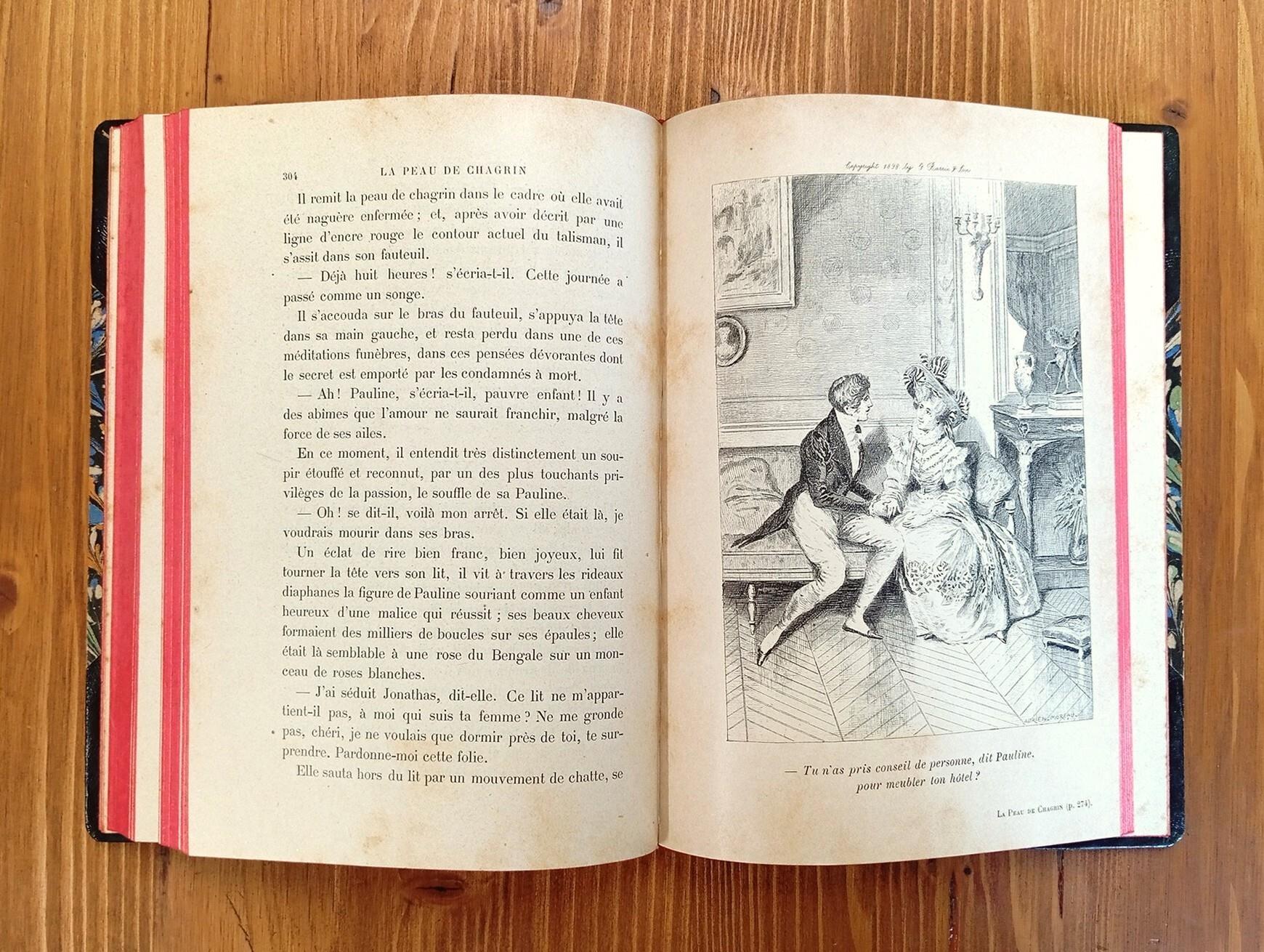 La peau de chagrin. Roman philosophique