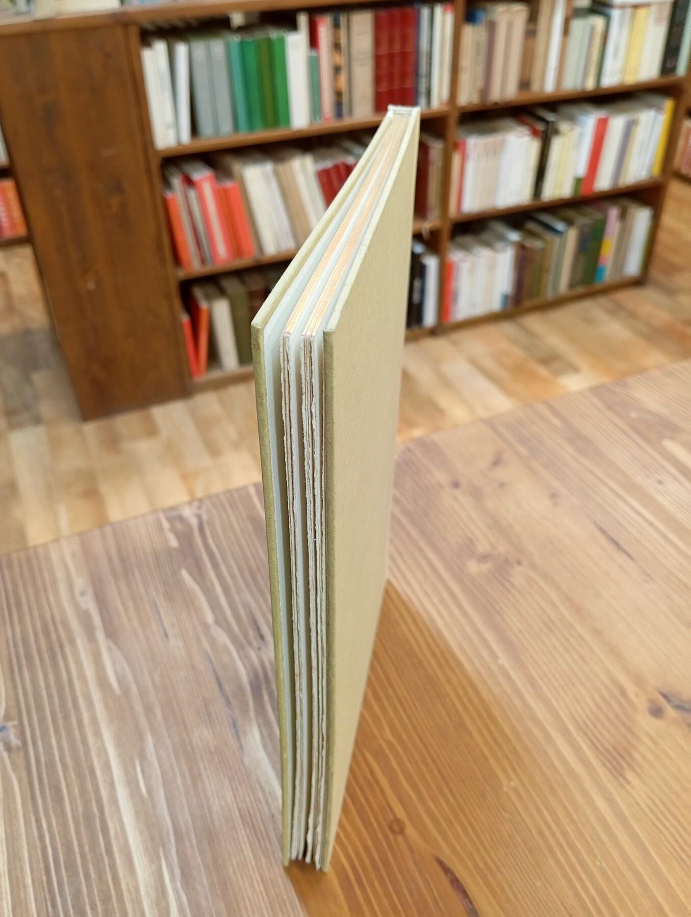 Capitolo del prete da Povigliano. A messer Ieronimo Fracastoro