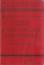 L' elettricità industriale